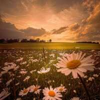 Lesen LED Bilder Bewertungen